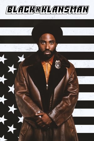 BlacKkKlansman (2018) Hindi Dual Audio 720p BluRay [1.2GB]