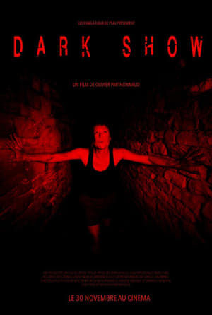 Dark Show (2016) Hindi Dual Audio HDRip 720p – 480p