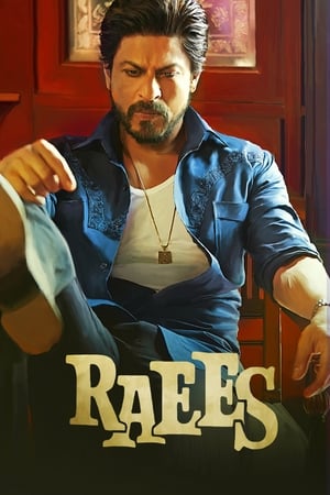 Raees (2017) Full Movie DVDRip 720p [1.0GB] Download